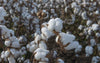 Coton et macramé