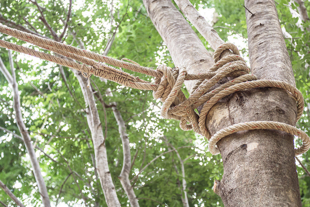 Natural rope – Corbeo
